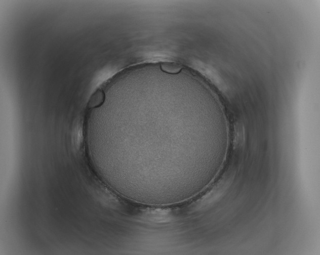 X0000111521261200907211217