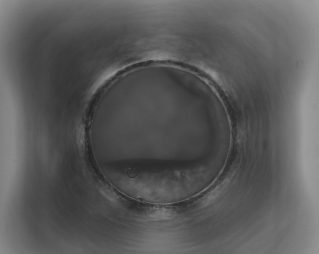 X0000111521263200907211217