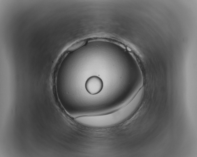 X0000111521264200907211217