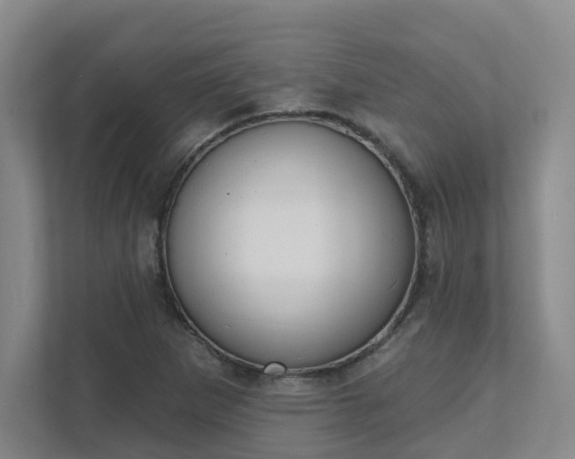 X0000111521265200907211217