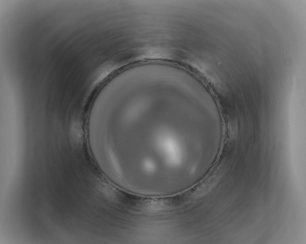 X0000111521266200907211217
