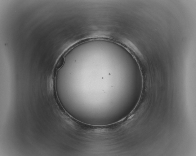 X0000111521268200907211217
