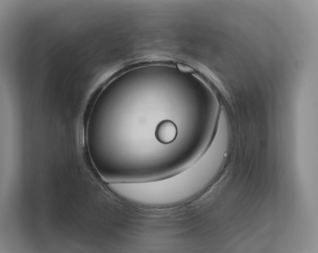 X0000111521269200907211217
