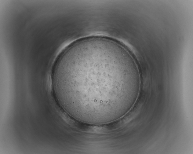 X0000111521271200907211217