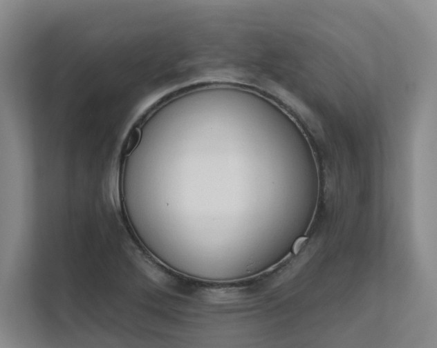 X0000111521272200907211217