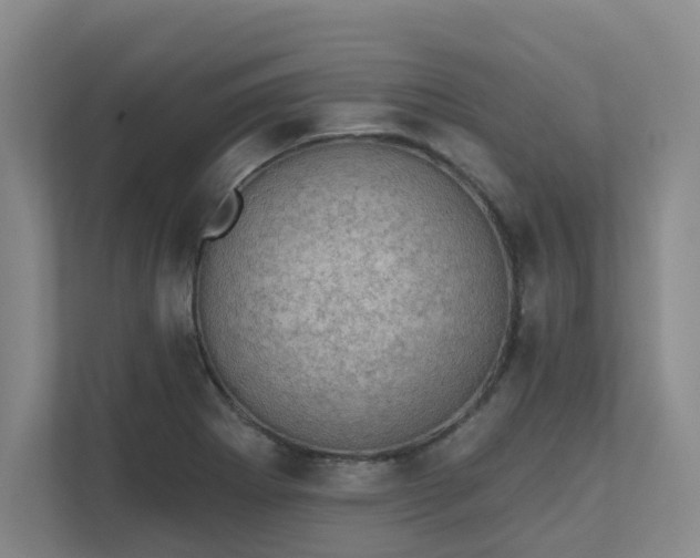 X0000111521273200907211217
