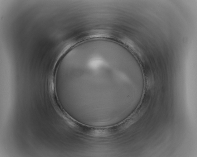 X0000111521274200907211217