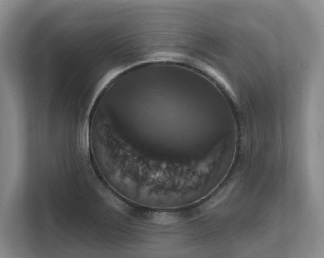 X0000111521275200907211217