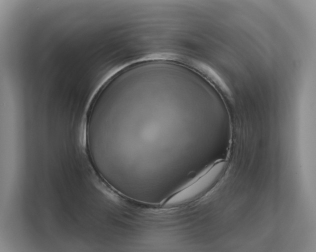 X0000111521276200907211217