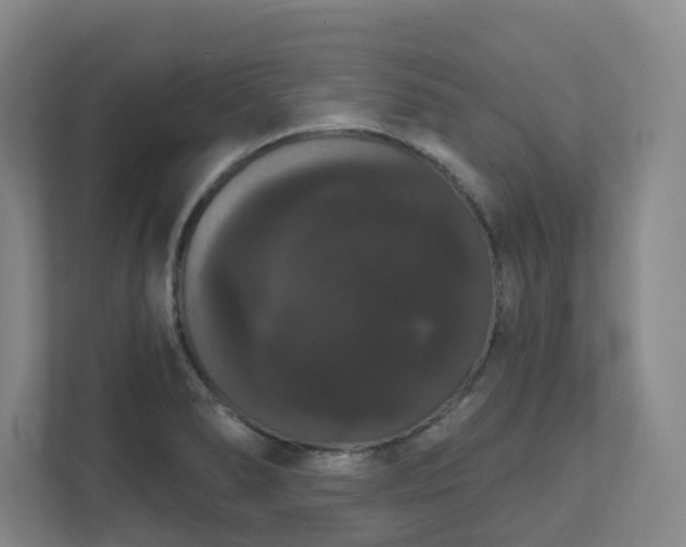 X0000111521278200907211216