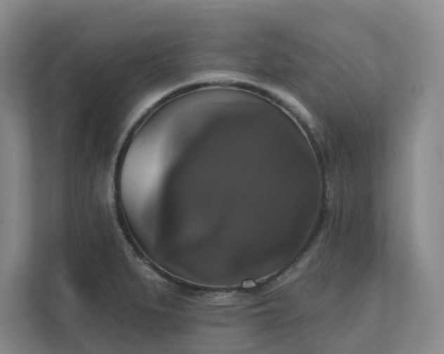 X0000111521279200907211216