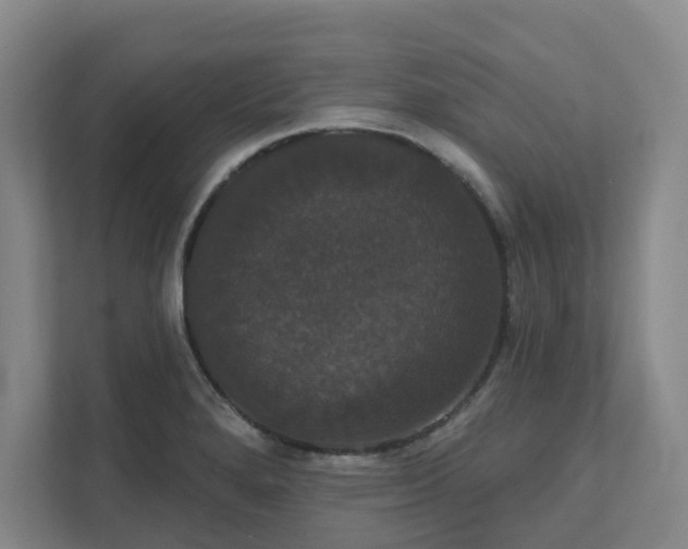 X0000111521280200907211216