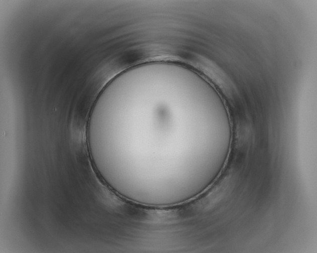 X0000111521281200907211216