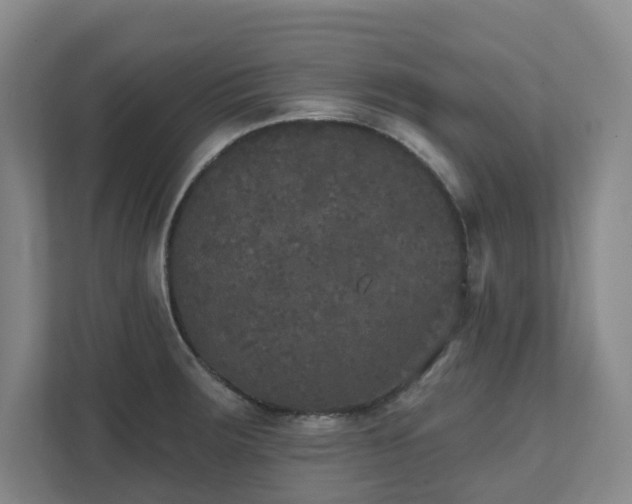 X0000111521283200907211216