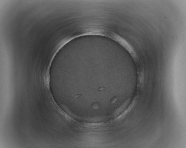 X0000111521284200907211216