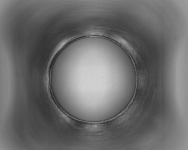 X0000111521286200907211216