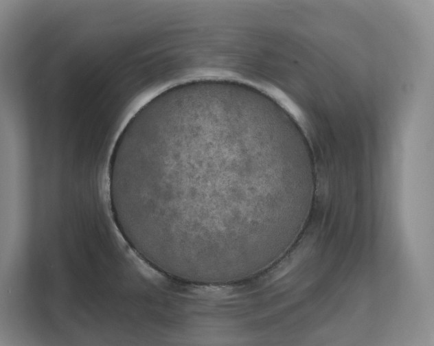 X0000111521287200907211216