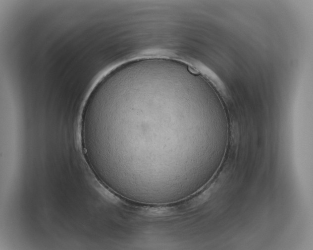 X0000111521288200907211216