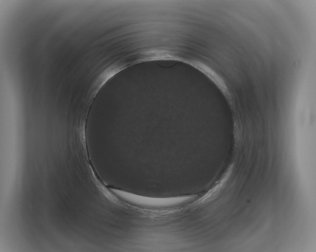 X0000111521289200907211216