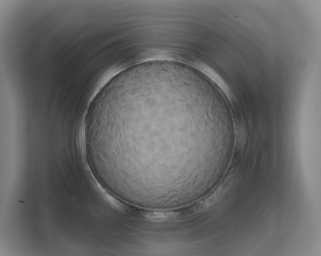 X0000111521290200907211216
