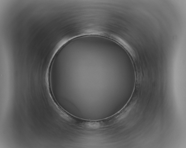 X0000111521291200907211216