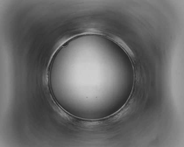 X0000111521292200907211216