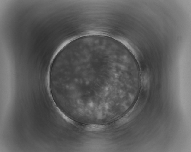 X0000111521294200907211216