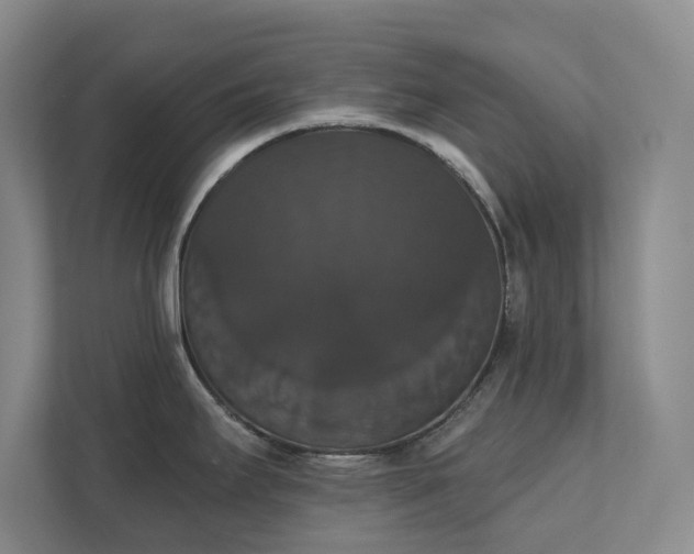 X0000111521295200907211216