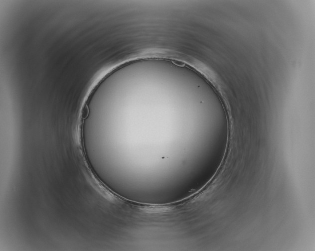 X0000111521296200907211216