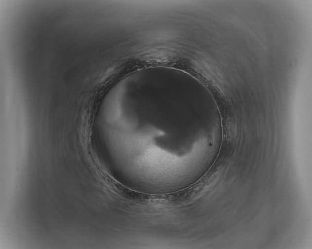 X0000111521297200907211216