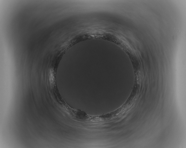 X0000111521298200907211216