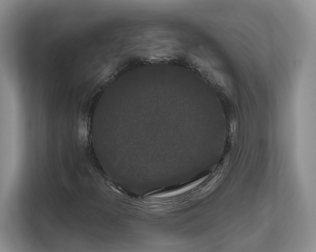 X0000111521300200907211216
