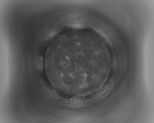 X0000111521301200907211216