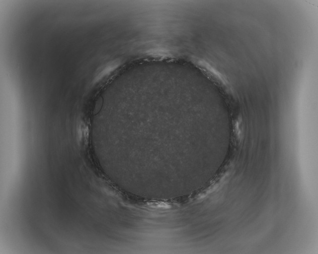 X0000111521302200907211216
