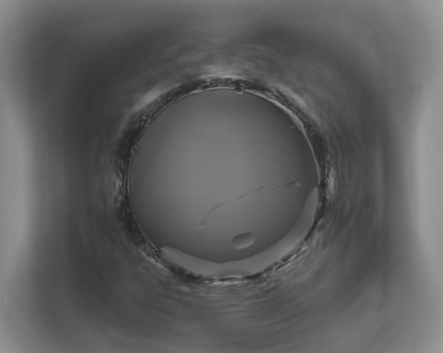 X0000111521303200907211216