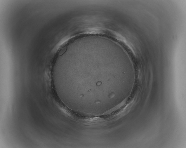 X0000111521304200907211216