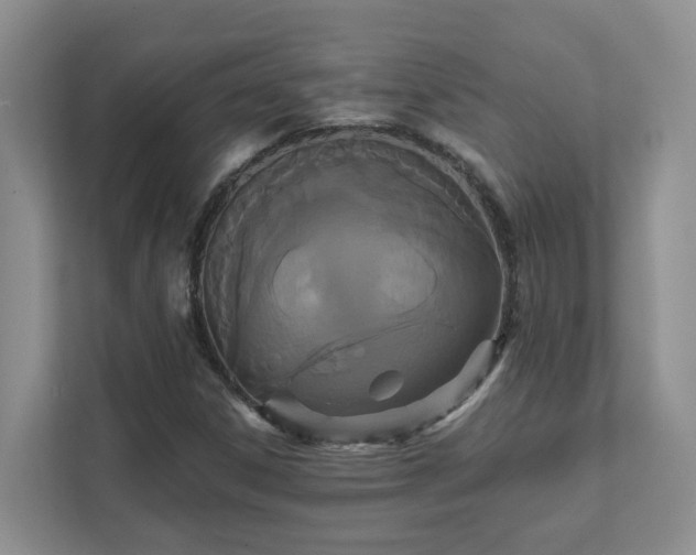 X0000111521306200907211216