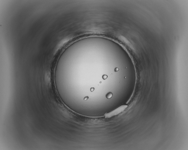 X0000111521307200907211216
