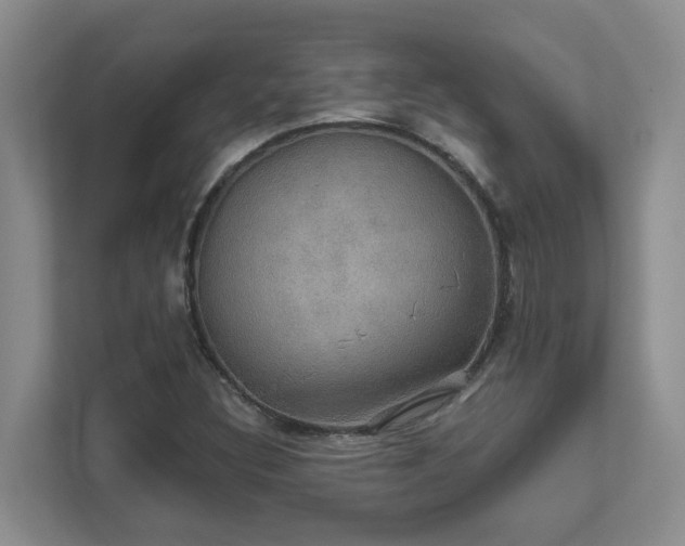 X0000111521308200907211216