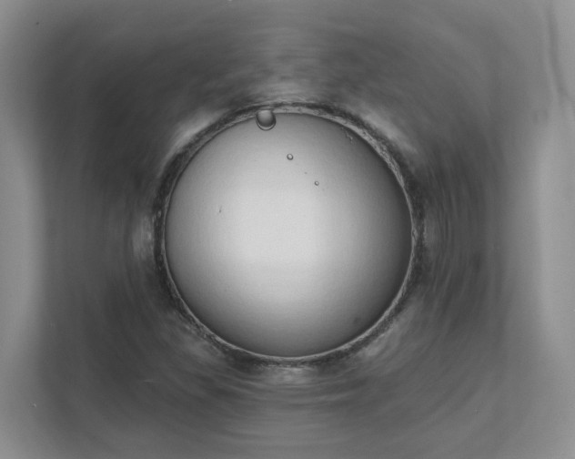X0000111521309200907211216
