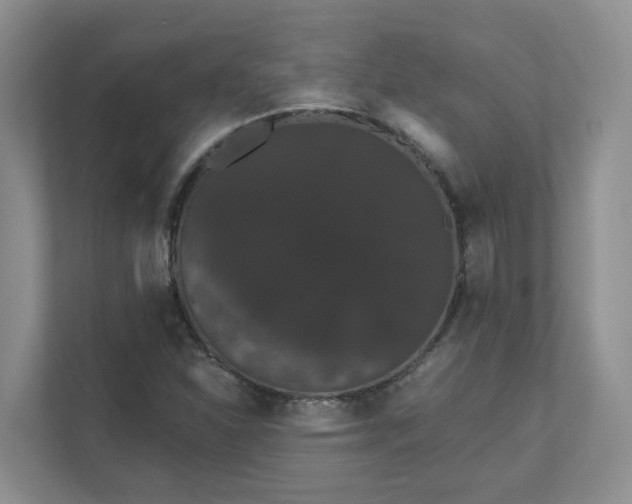 X0000111521310200907211216