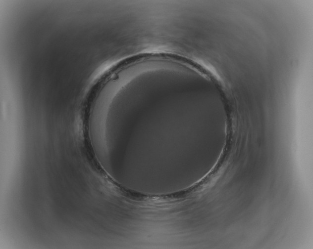 X0000111521311200907211216