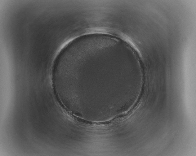 X0000111521312200907211216