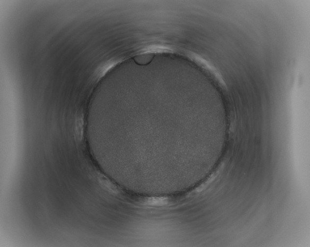X0000111521313200907211216