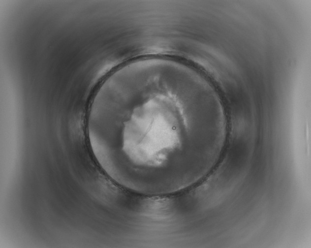 X0000111521314200907211216