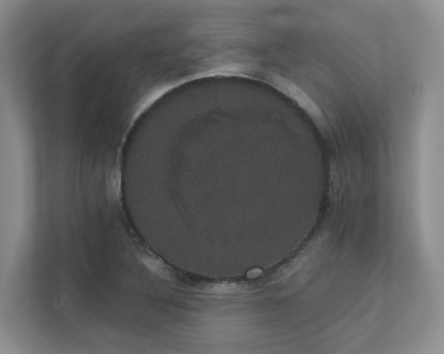 X0000111521316200907211216