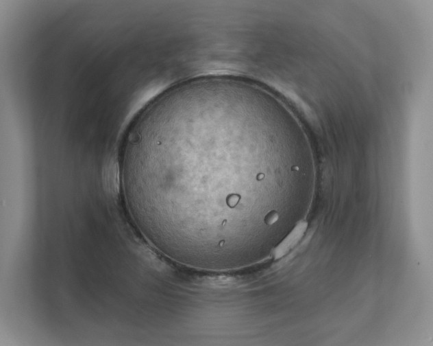 X0000111521317200907211216