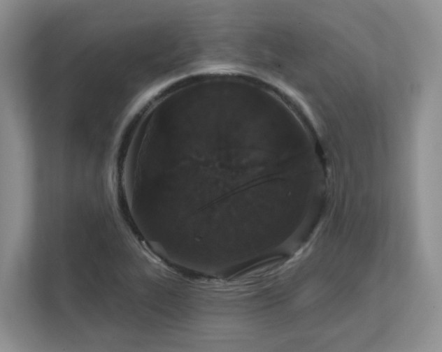 X0000111521319200907211216