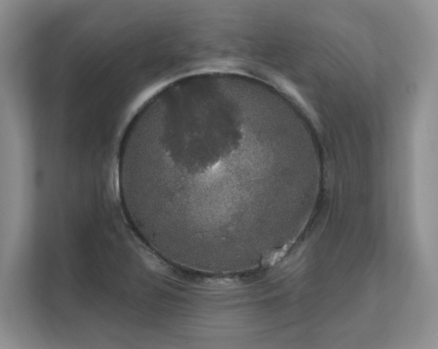 X0000111521320200907211216