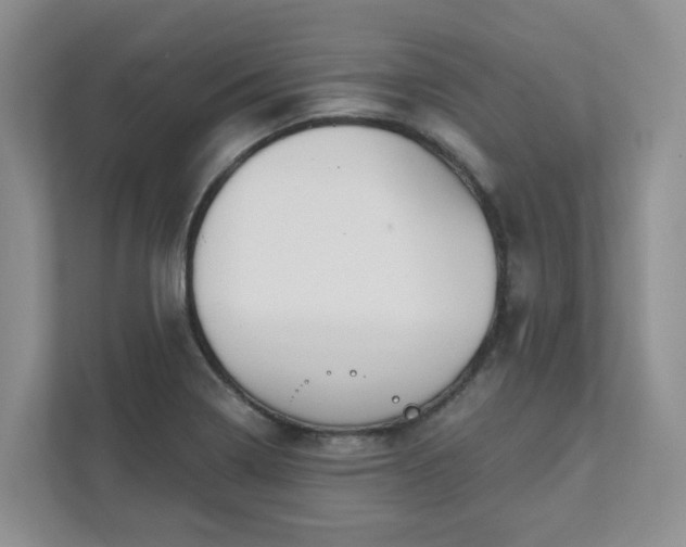 X0000111521322200907211216